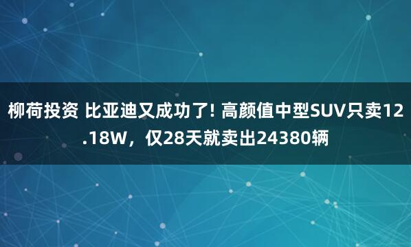 柳荷投资 比亚迪又成功了! 高颜值中型SUV只卖12.18W,仅28天就卖出24380辆