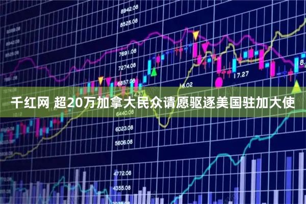 千红网 超20万加拿大民众请愿驱逐美国驻加大使